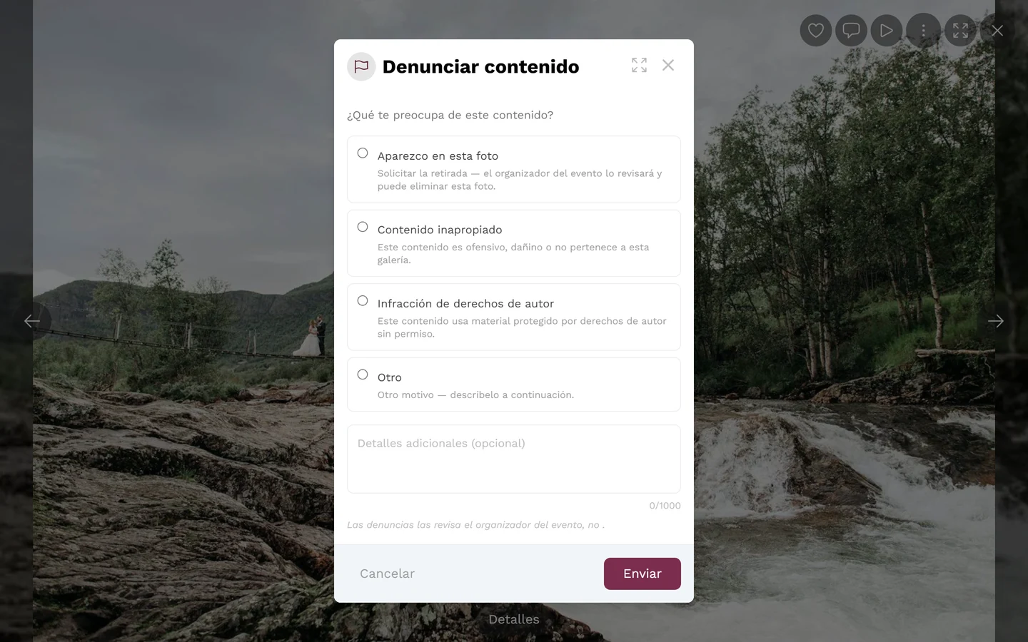 Cuadro de diálogo de denuncia con la selección de motivos