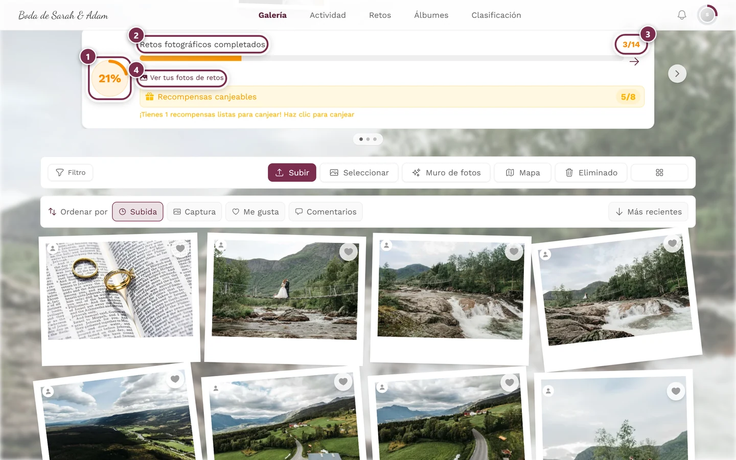 Tarjeta de progreso sobre la cuadrícula de fotos con cuatro marcas: círculo de progreso, título, par de números, enlace a las propias fotos de retos