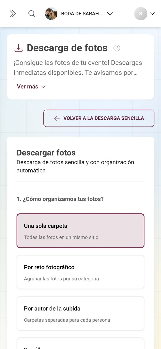 Descarga avanzada con estructura de carpetas, filtros y selección para la exportación ZIP