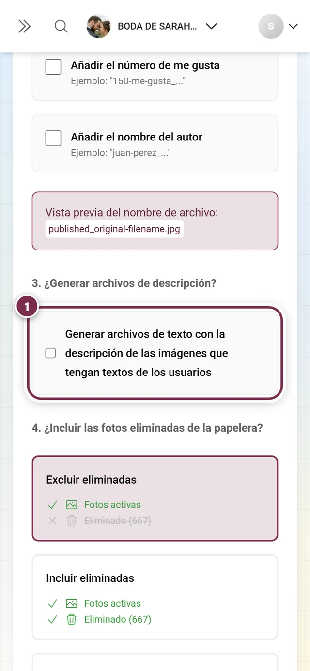 Paso 3 con la casilla para archivos de texto de descripción, marcada