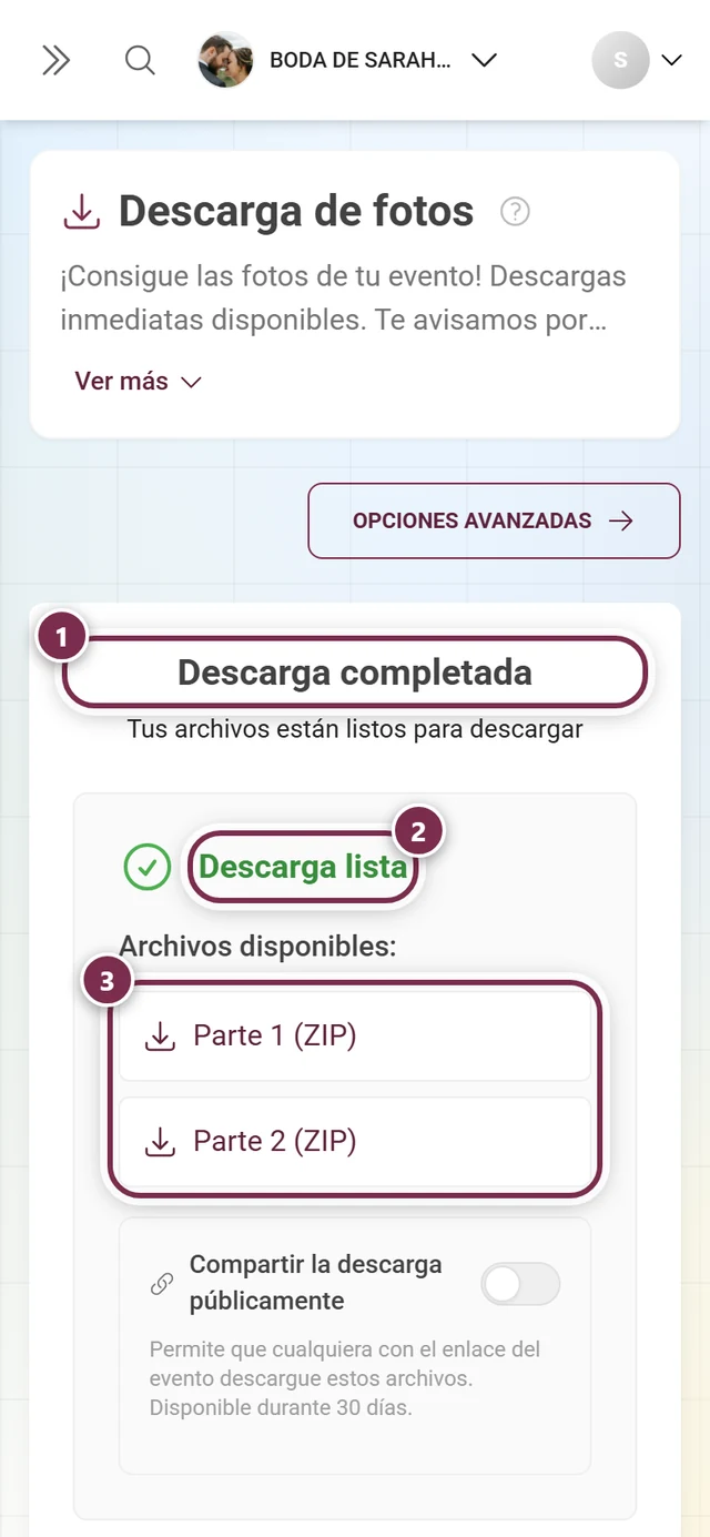 Pantalla de resultado con el título Descarga completada, el aviso verde Descarga lista y dos partes ZIP, todo marcado