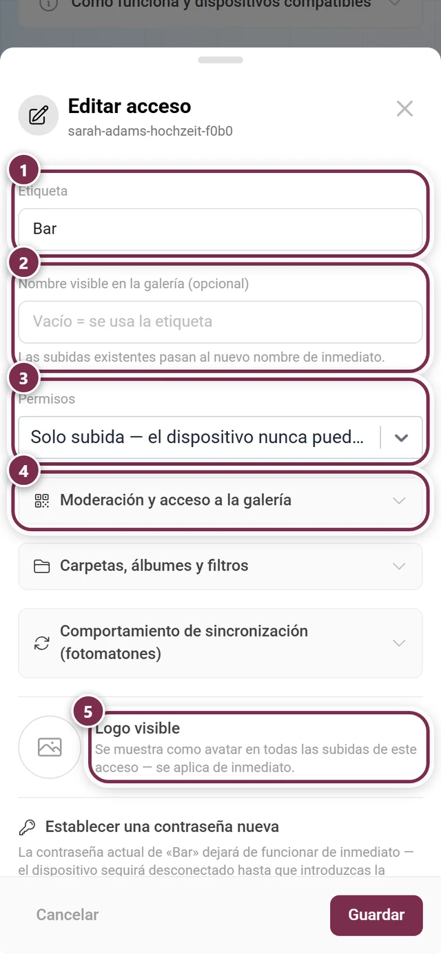 Diálogo Editar acceso con Etiqueta, Nombre visible, Permisos, los tres grupos de opciones, Logo visible y la sección Establecer contraseña nueva