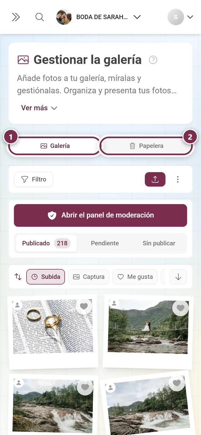 La barra de pestañas de la página con las pestañas Galería y Papelera resaltadas