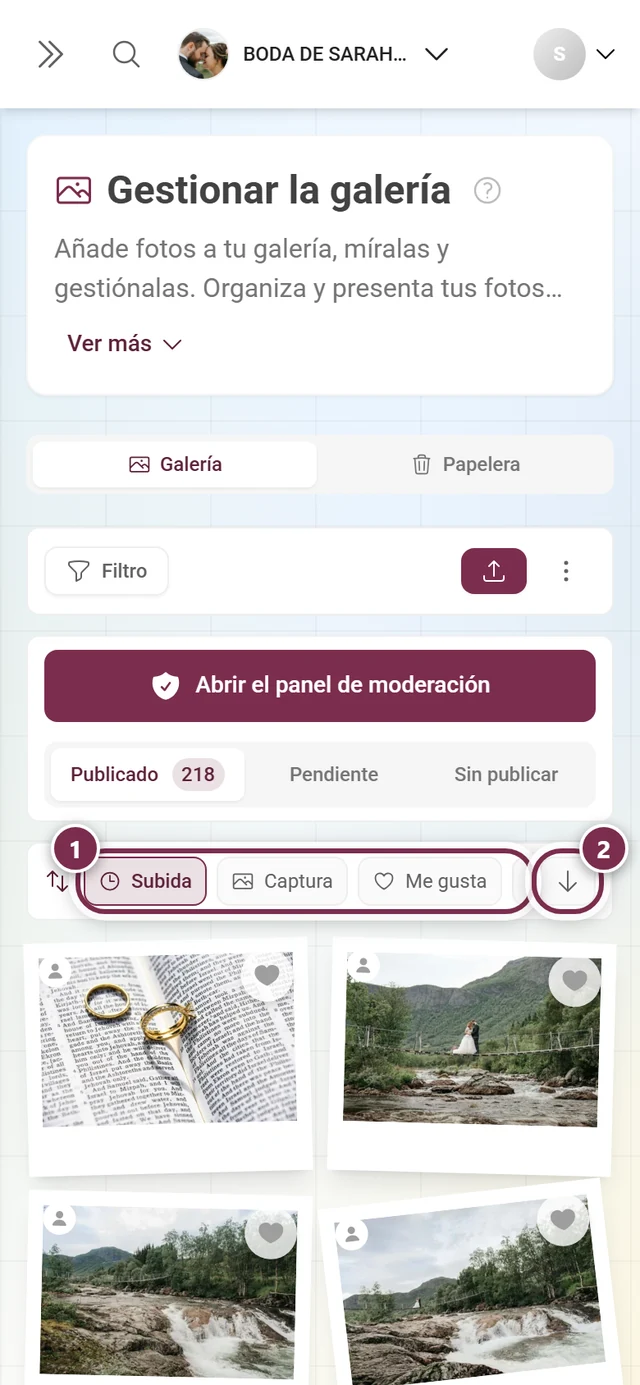 La barra de orden con los criterios resaltados y el botón de dirección resaltado