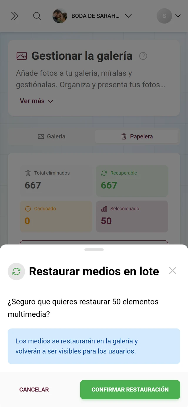 Diálogo Restaurar medios en lote con el número de elementos y un aviso azul