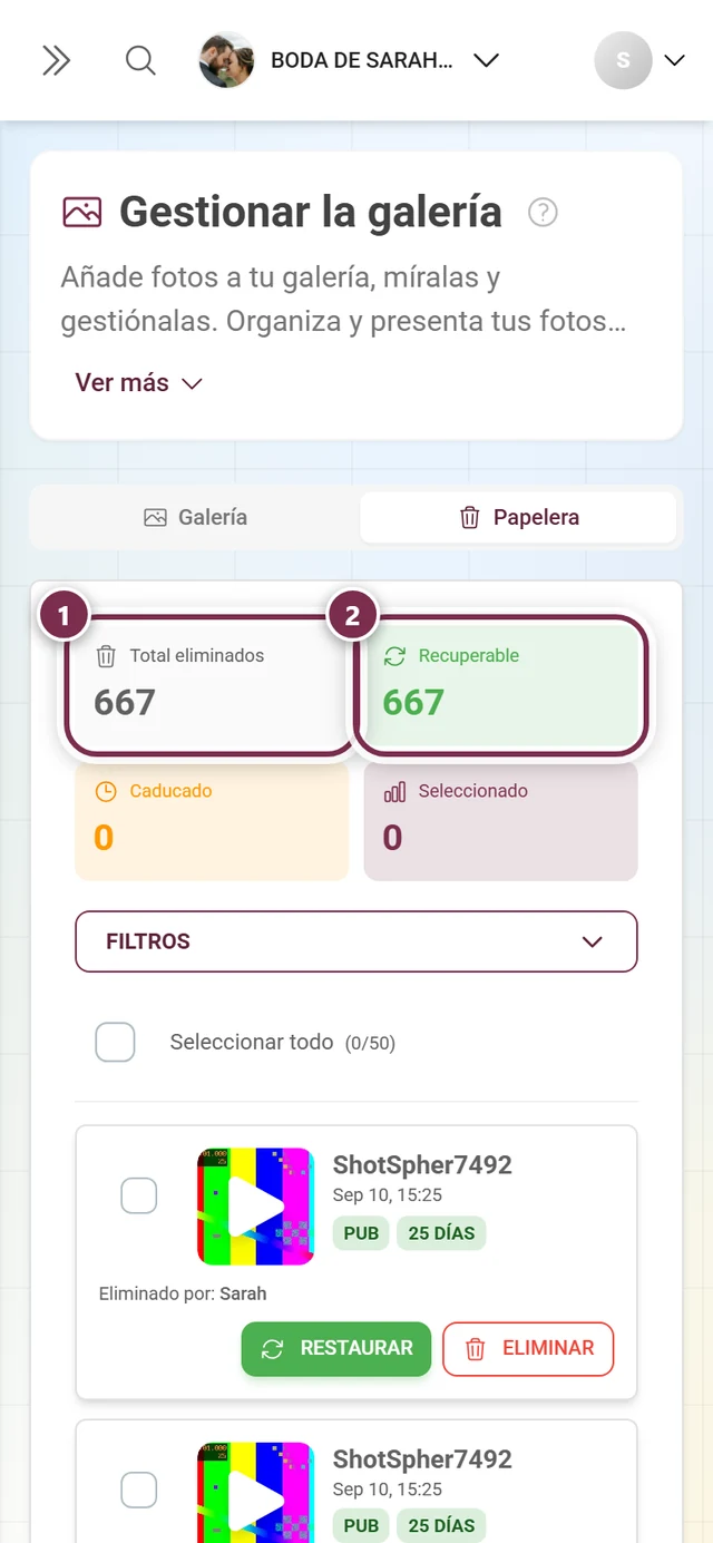 Tarjetas de estadísticas de la papelera con Total eliminados y Recuperable destacadas