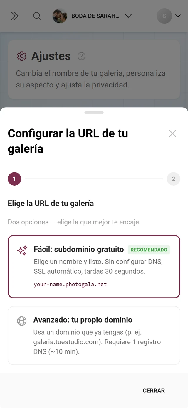 Asistente para configurar una URL de galería propia