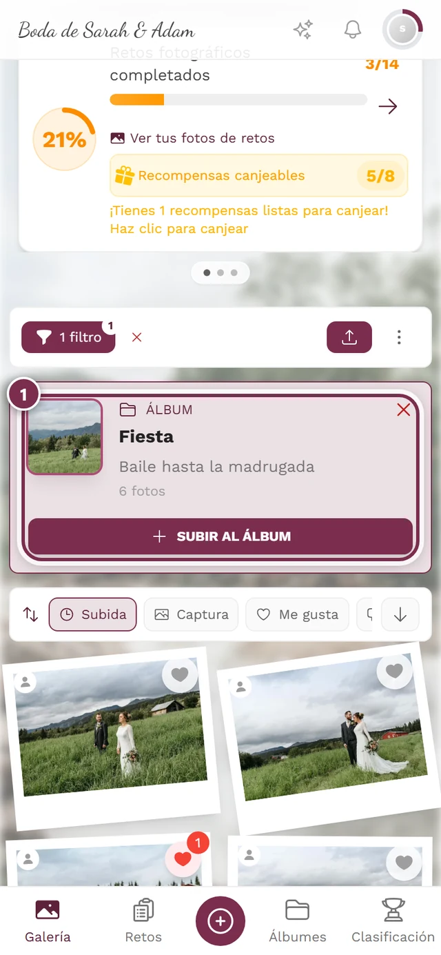 Cuadrícula de la galería con el cuadro Filtros activos y un chip de álbum encima