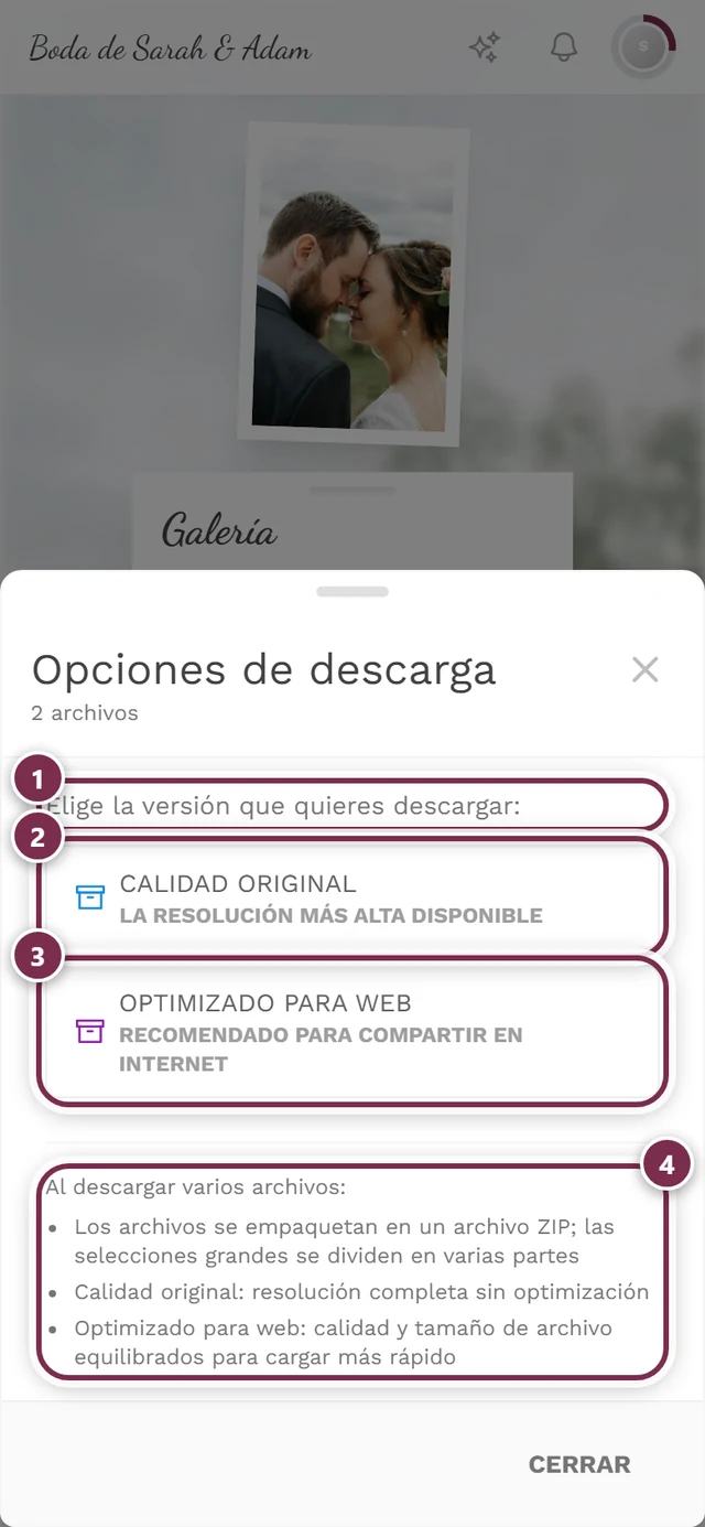 Cuadro Opciones de descarga con dos fotos marcadas y el aviso de ZIP