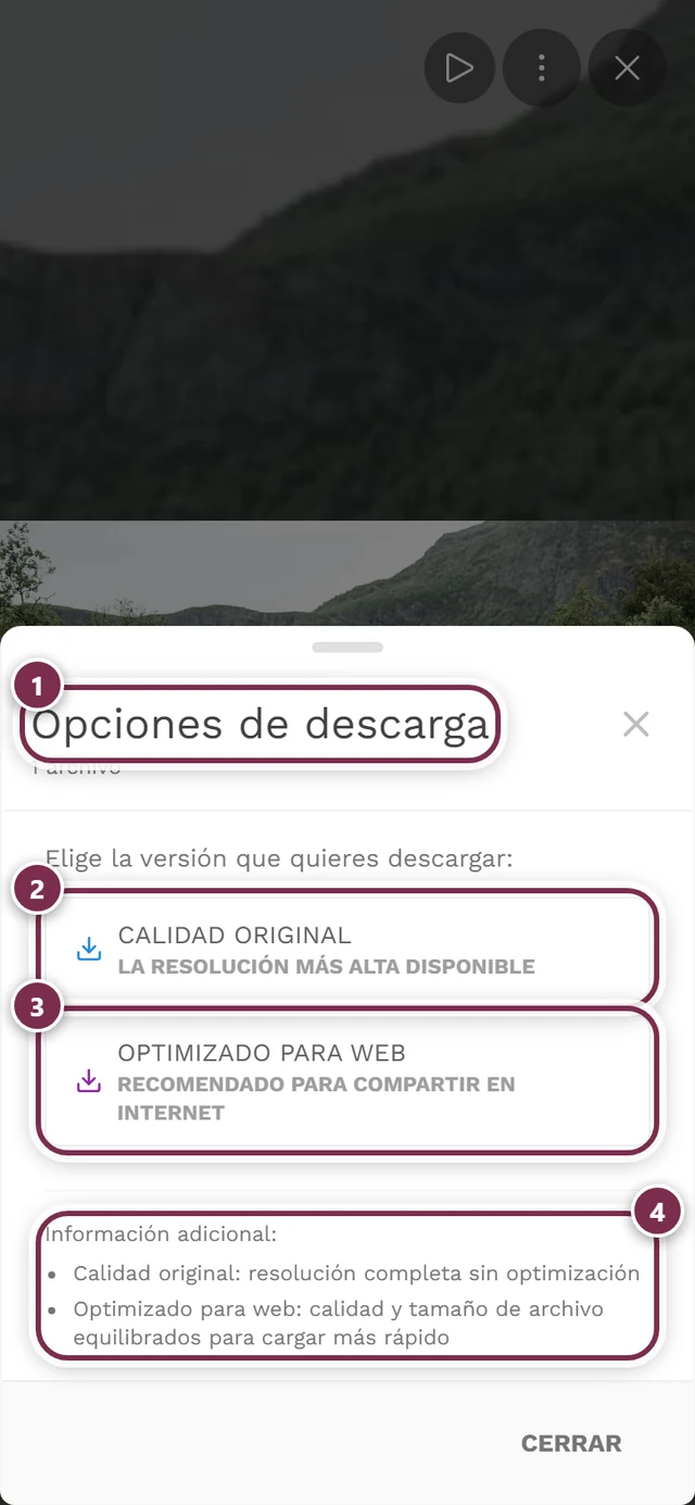 Diálogo de opciones de descarga con las opciones Calidad original y Optimizado para web resaltadas