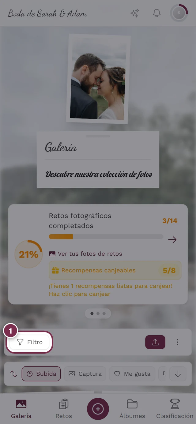 Barra de la galería con el botón Filtro resaltado