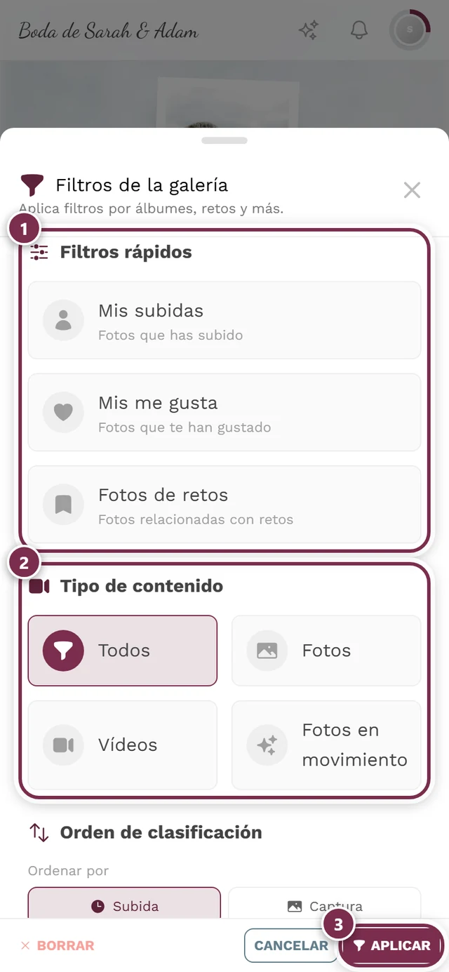 Panel de filtros con las secciones Filtros rápidos, Tipo de medio, Orden de clasificación y Álbumes