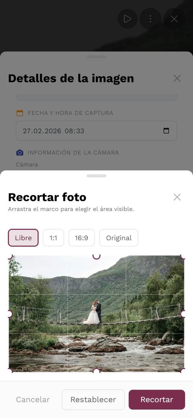 Cuadro de diálogo Recortar foto con los formatos Libre, 1:1, 16:9 y Original, el marco con asas redondas en las esquinas y los botones Cancelar, Restablecer y Recortar