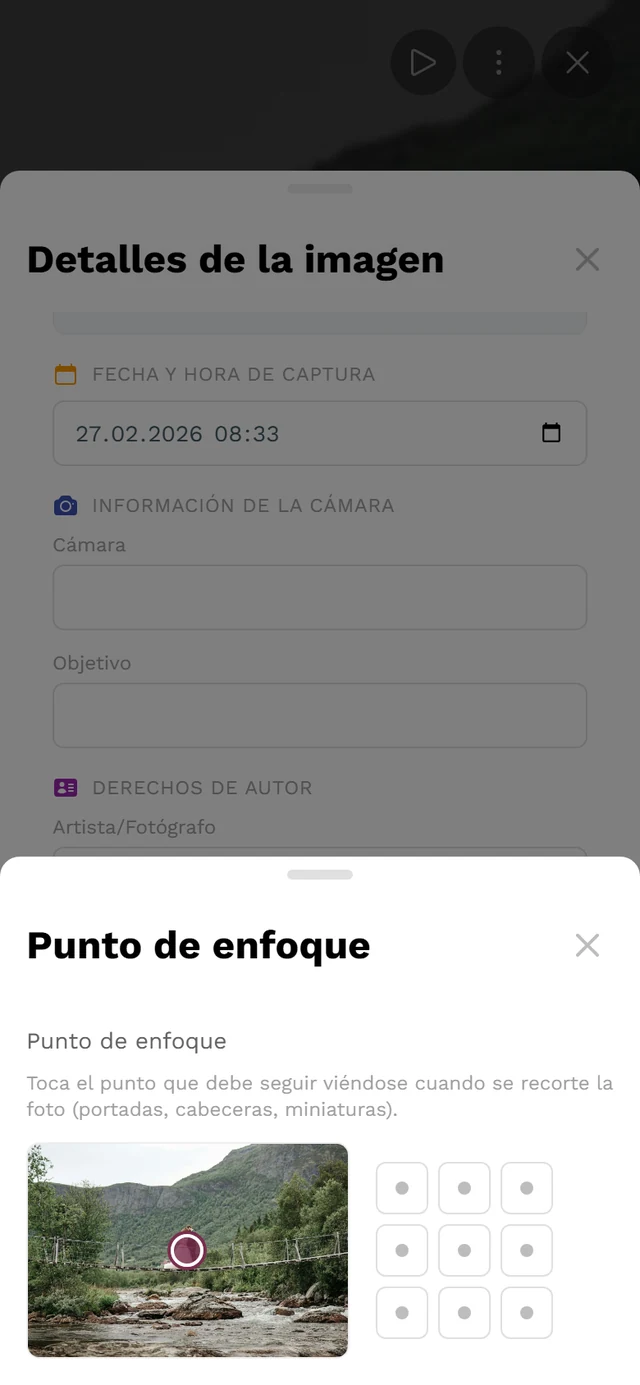 Ventana emergente Punto de enfoque con imagen de vista previa, marca y la cuadrícula de nueve zonas