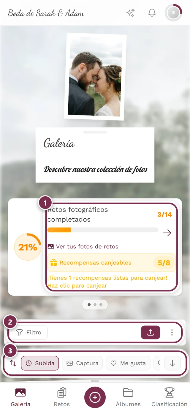 Página de la galería con las fotos en cuadrícula