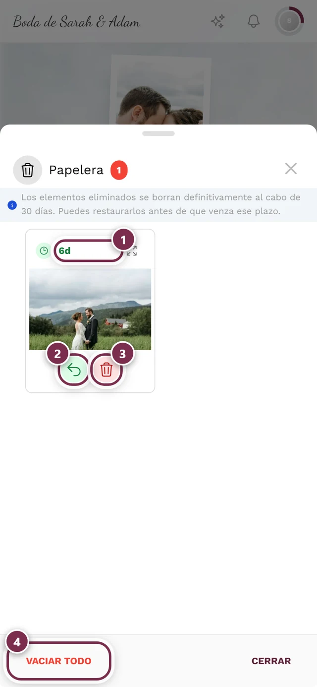 Papelera personal como diálogo en la galería, con el chip de días restantes, Restaurar, Eliminar definitivamente y Vaciar todo destacados