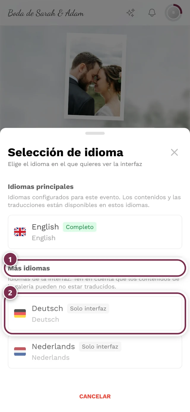 Diálogo de selección de idioma con el grupo Más idiomas y una fila con la insignia Solo interfaz marcada