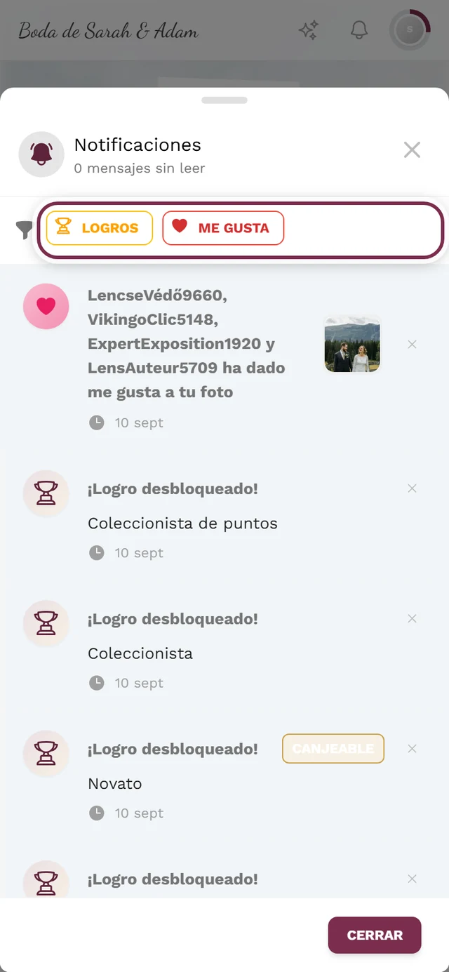 Menú de notificaciones abierto, con la barra de filtros de chips por tipo resaltada