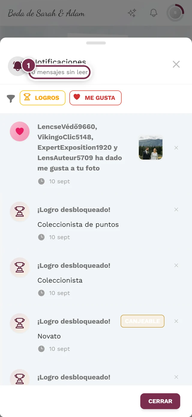 Cuadro de notificaciones abierto, con la línea de mensajes sin leer resaltada
