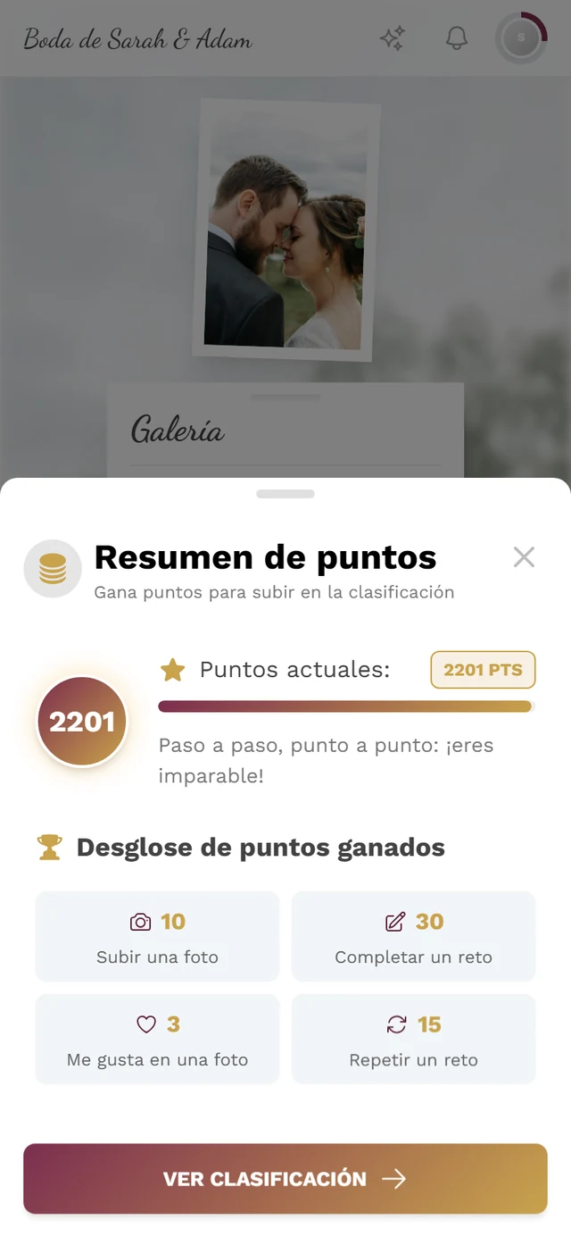 Diálogo Resumen de puntos con el círculo de puntos y las cuatro tarjetas del desglose
