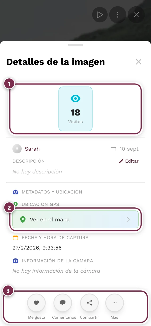 Diálogo de detalles de la imagen con estadísticas, quién la subió, fecha e información de captura