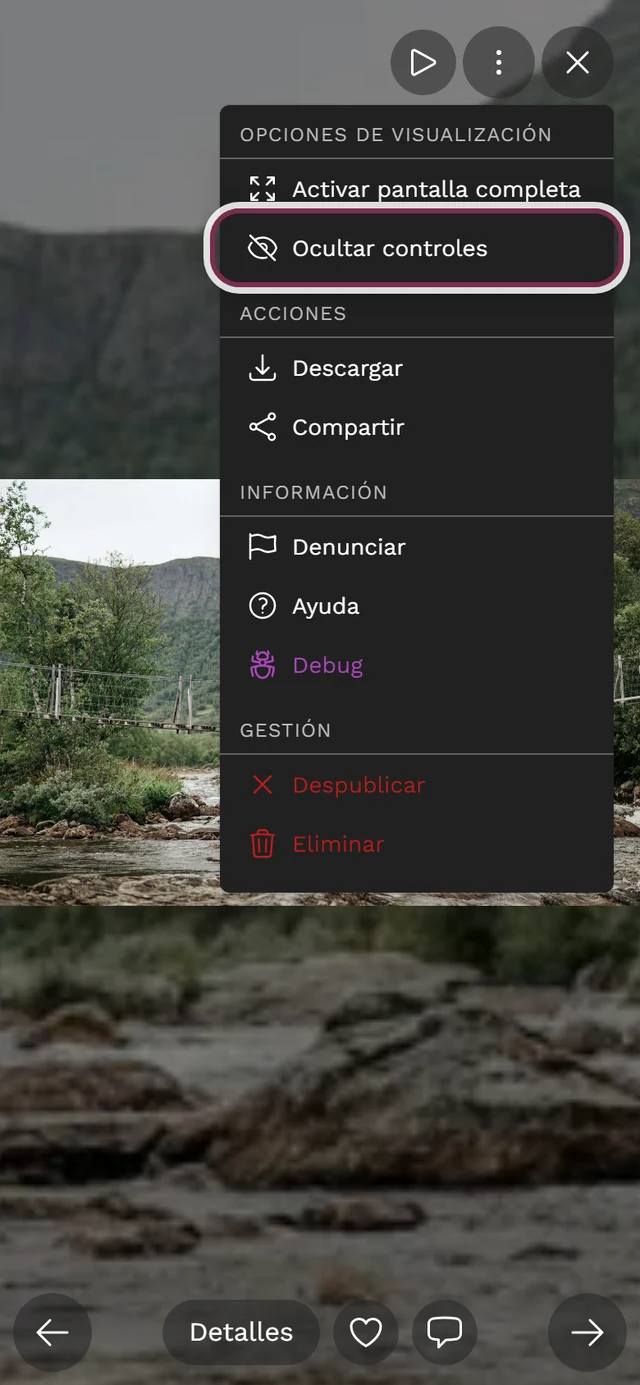 Menú de tres puntos abierto en la vista de pantalla completa con la opción Ocultar controles marcada