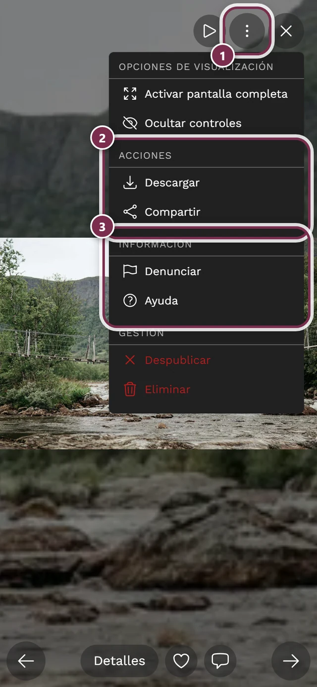 Menú de tres puntos abierto en pantalla completa con las secciones Acciones e Información