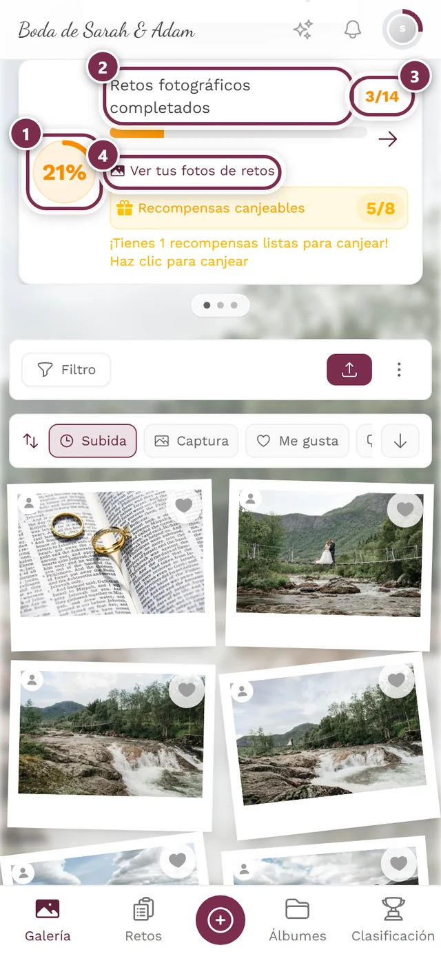 Tarjeta de progreso sobre la cuadrícula de fotos con cuatro marcas: círculo de progreso, título, par de números, enlace a las propias fotos de retos