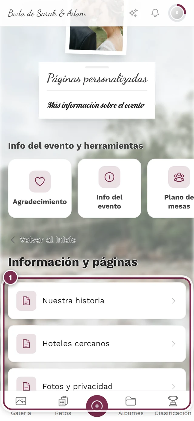 Página de resumen Información y páginas en la vista de los invitados con tres entradas
