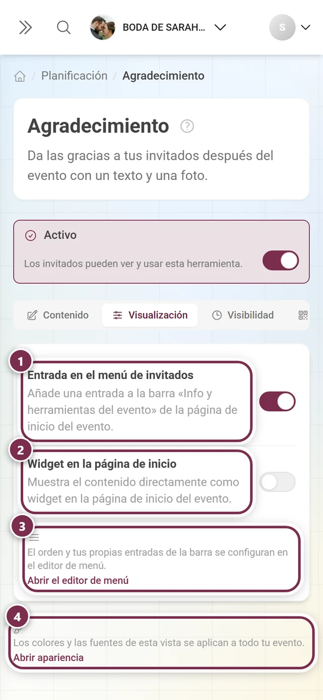 Pestaña Visualización con los interruptores para el menú de invitados y el widget de la página de inicio, además de dos enlaces cruzados