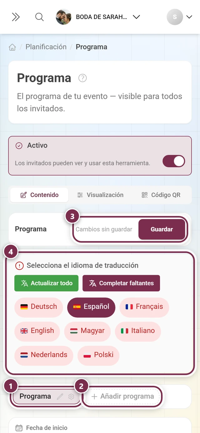Herramienta de programa con la fila de pestañas, Añadir programa, la barra de idiomas y Guardar marcados