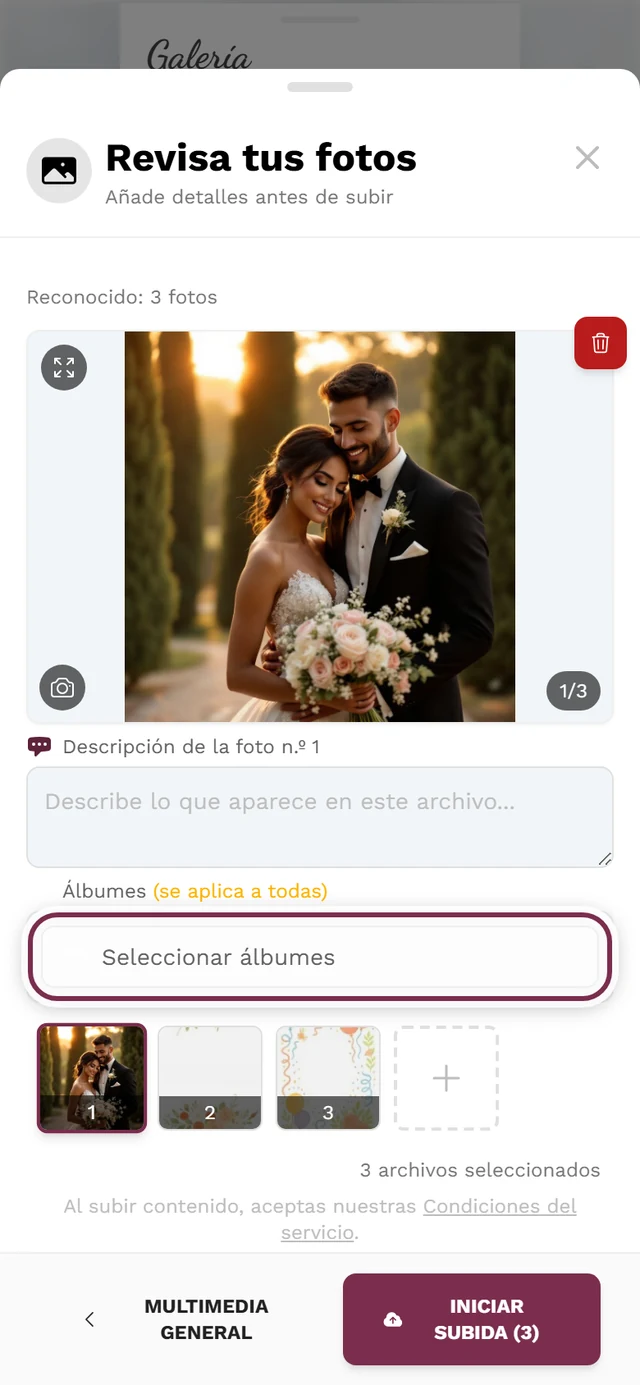 Pantalla de revisión de la subida con el botón Seleccionar álbumes resaltado