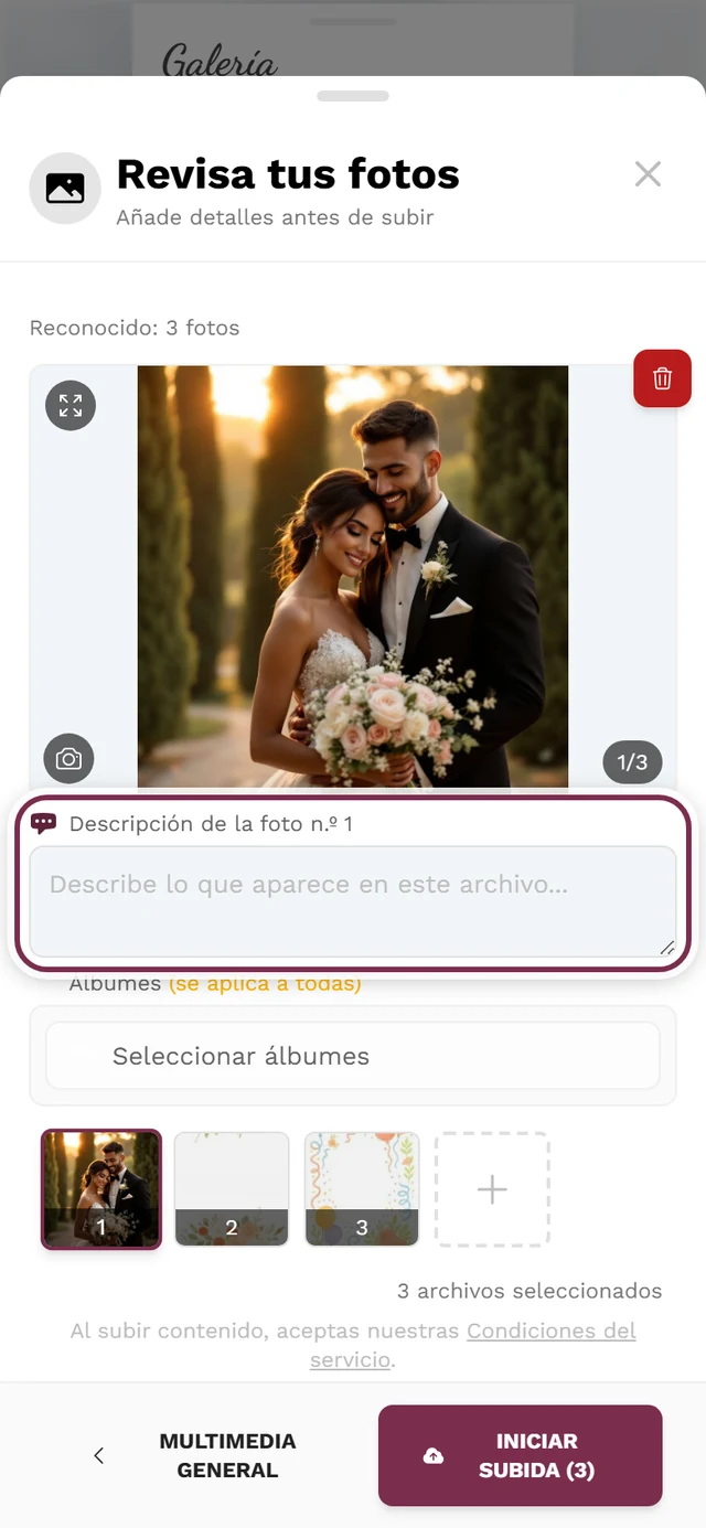 Pantalla de revisión de la subida con el campo del pie de foto resaltado