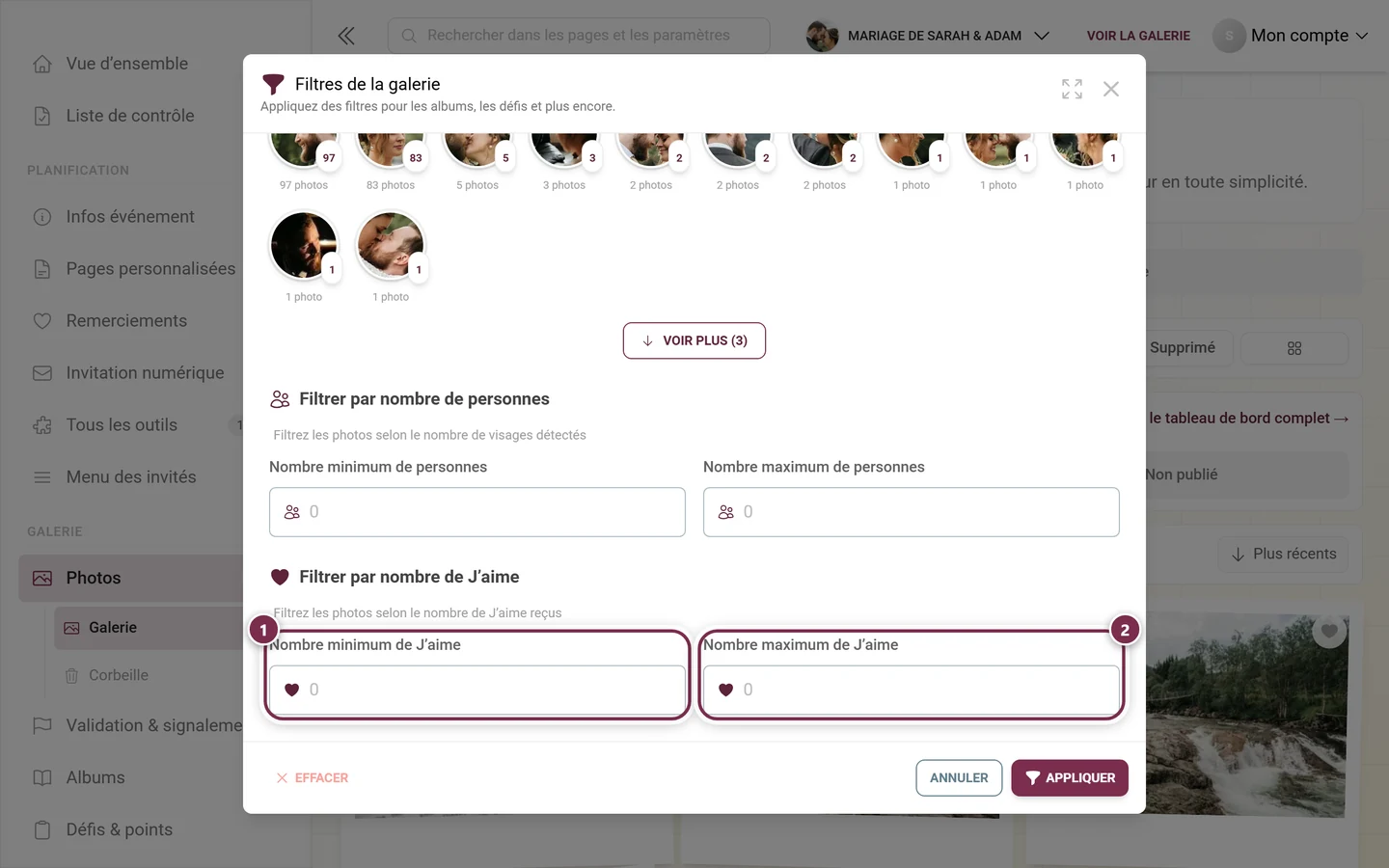 Les deux champs numériques pour le nombre de J'aime dans la partie basse de la boîte de dialogue, tous deux mis en évidence