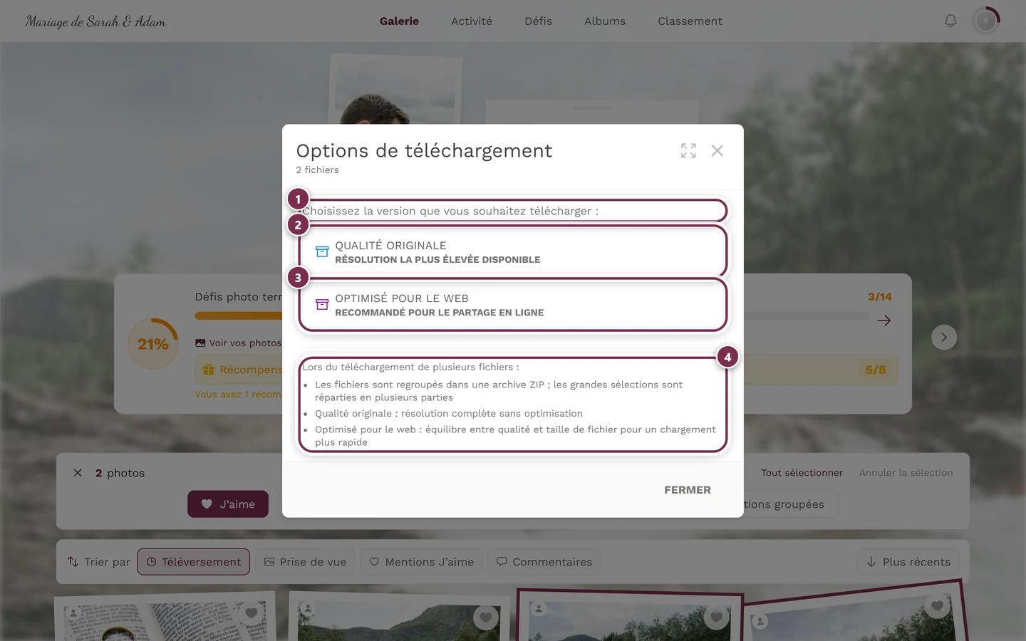 Boîte de dialogue Options de téléchargement avec deux photos marquées, mention ZIP sous les deux boutons