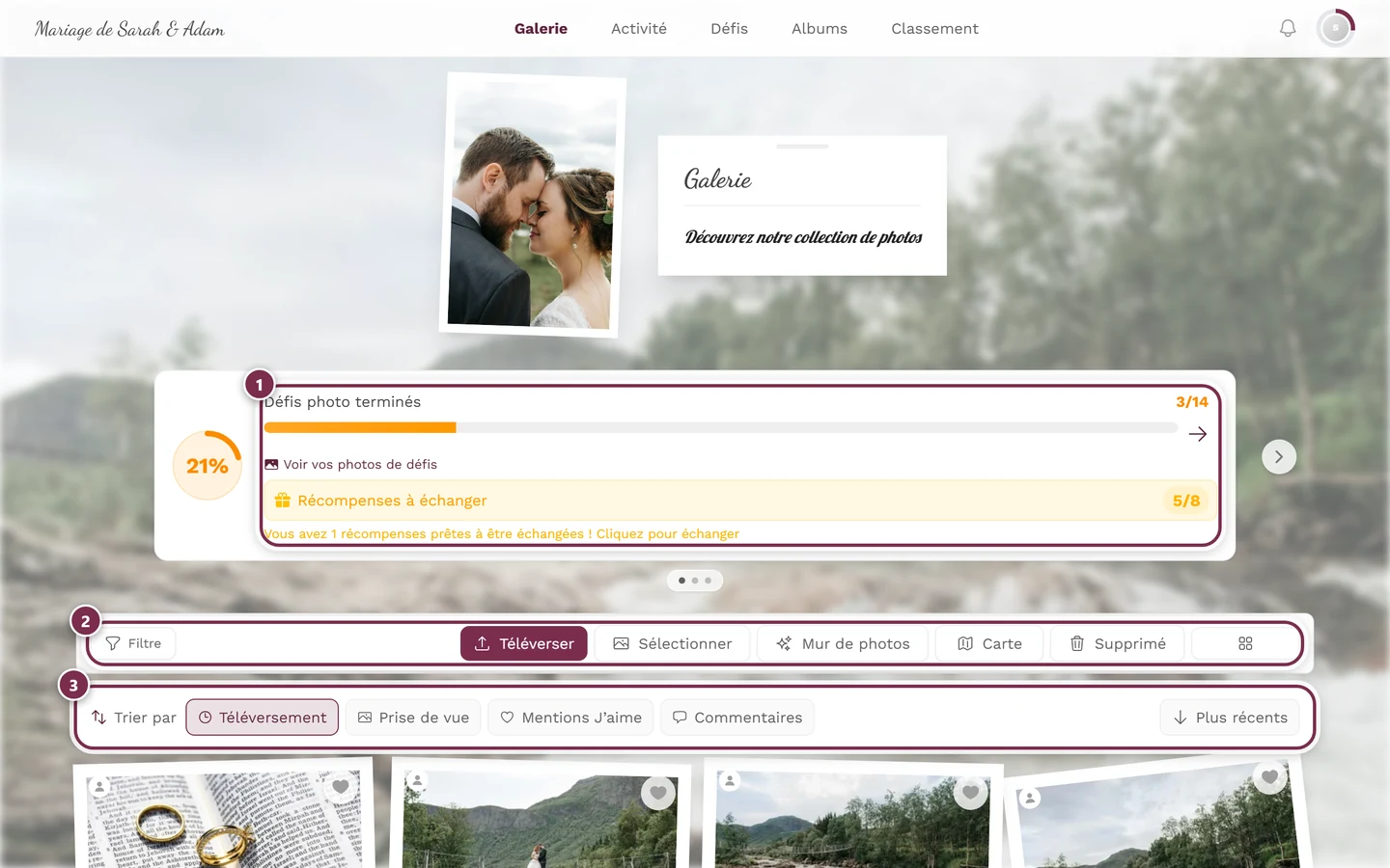 Page de la galerie avec les photos en grille