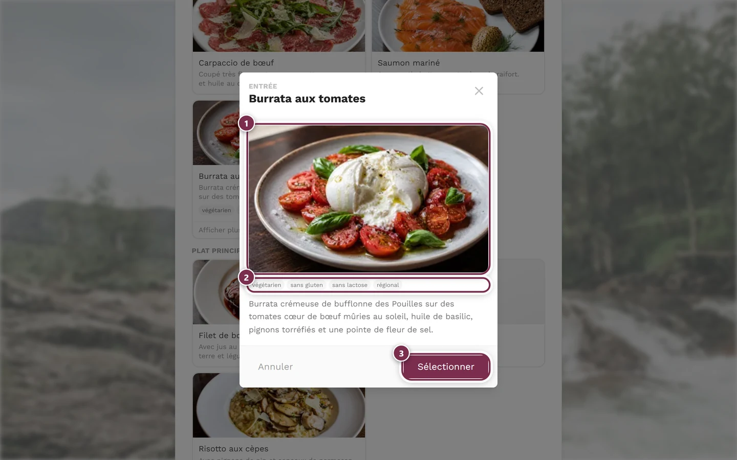 Vue agrandie d'un plat avec la photo, toutes les mentions et le bouton Sélectionner