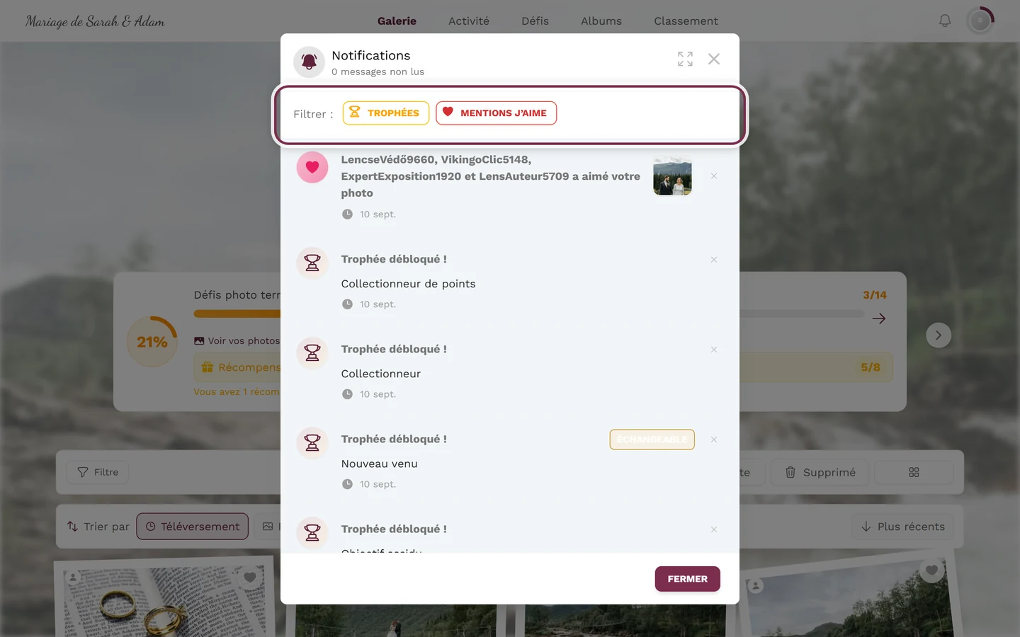 Menu de notifications ouvert, la barre de filtres avec les puces de type est mise en évidence