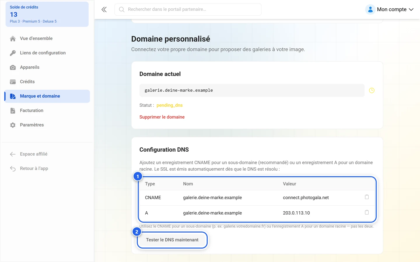 Configuration DNS du domaine de galerie avec le tableau des enregistrements et le bouton Tester le DNS maintenant mis en évidence