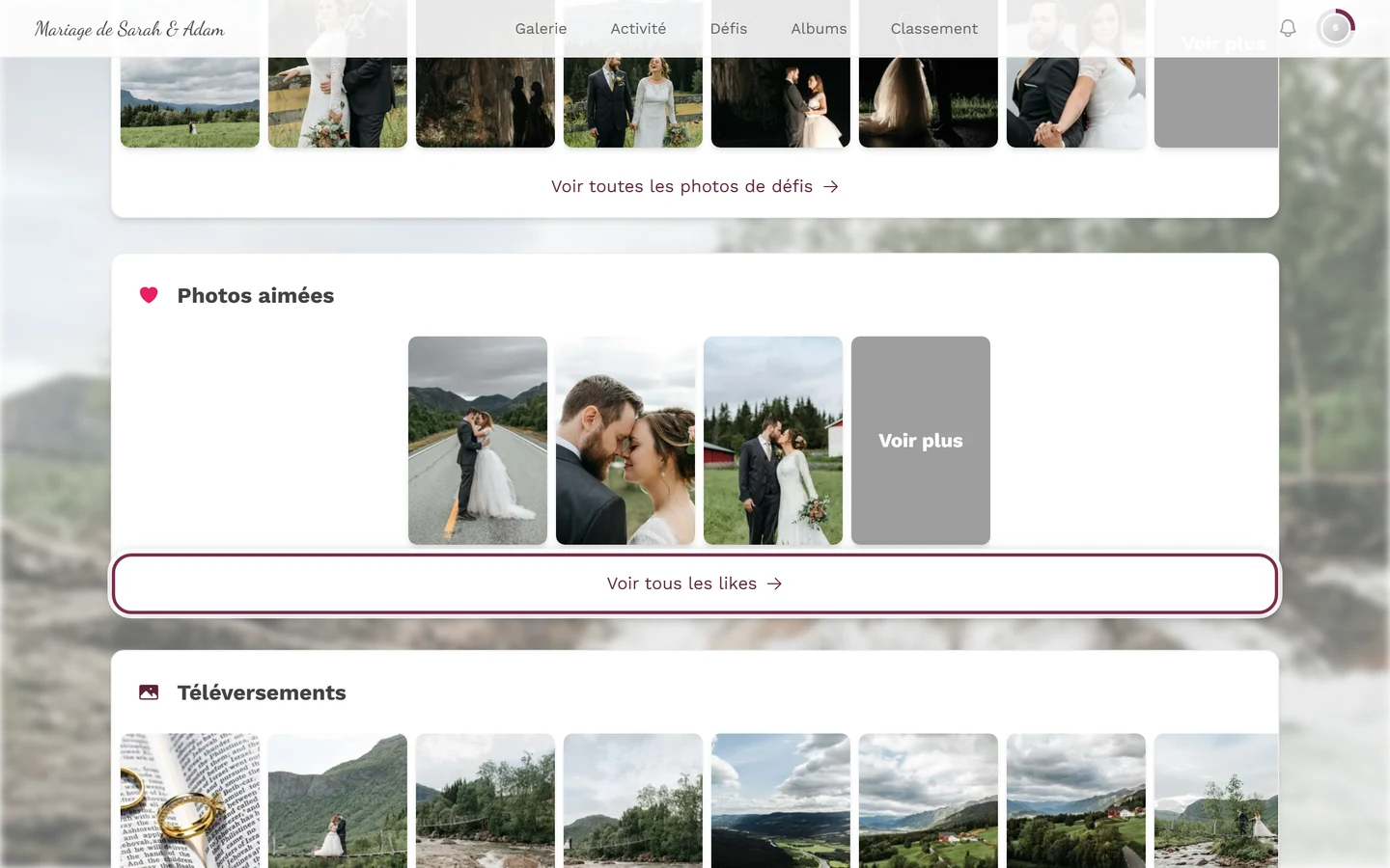 Page de profil, section Photos aimées avec le lien Voir tous les likes mis en évidence