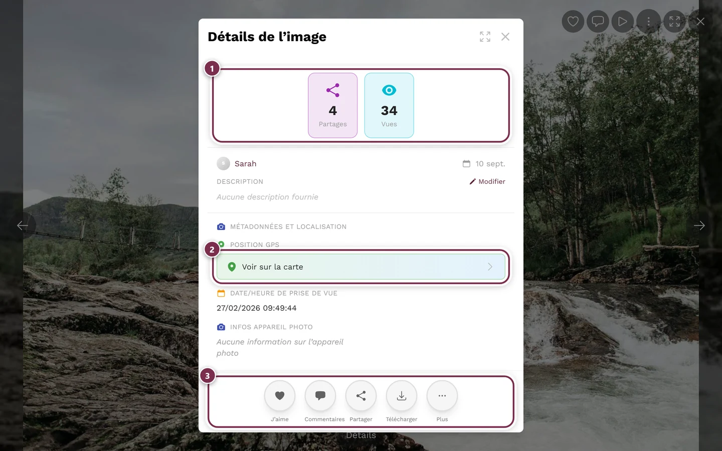 Fenêtre des détails de l'image avec statistiques, personne ayant téléversé, date et informations de prise de vue