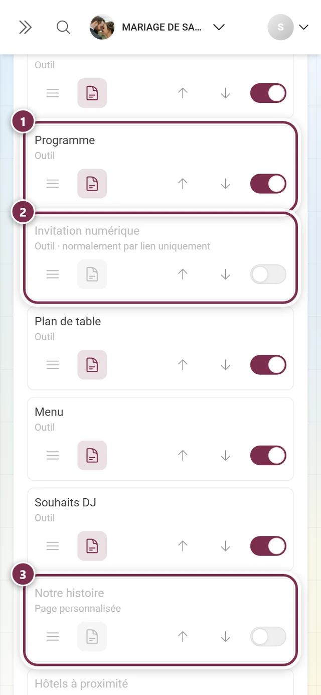 Trois lignes du menu des invités montrant les types Outil, outil uniquement par lien et Page personnalisée