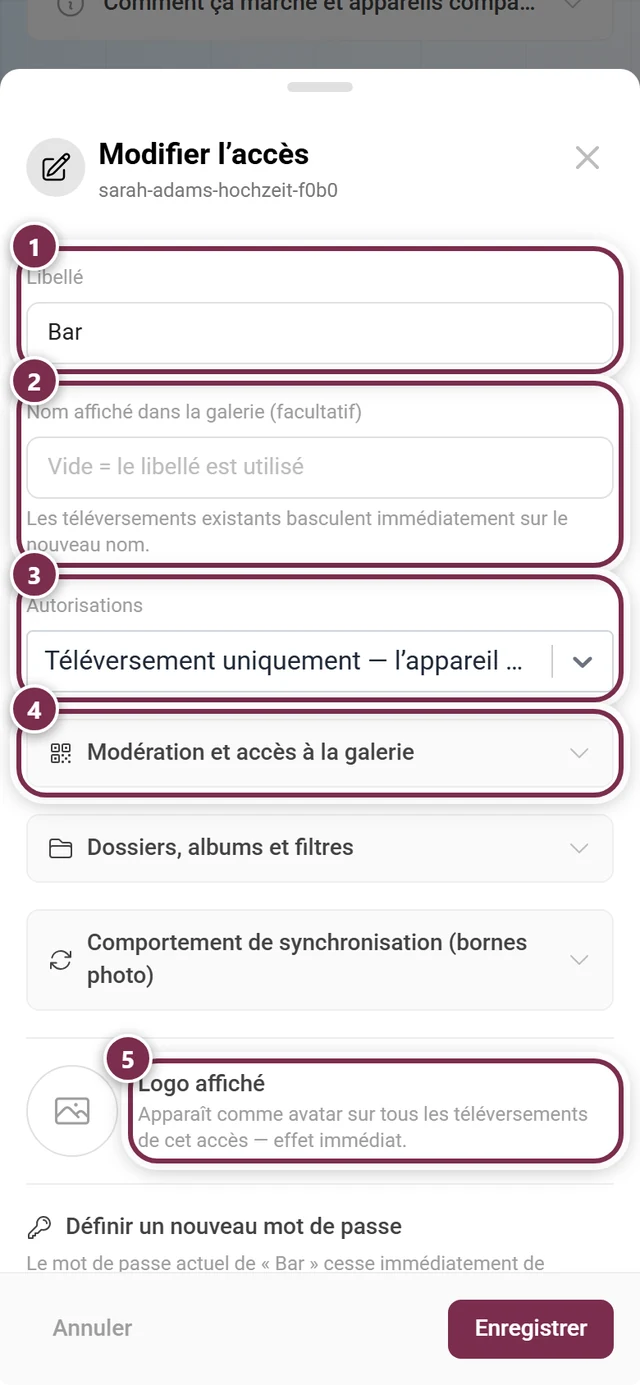 Boîte de dialogue Modifier l'accès avec le libellé, le nom affiché, les autorisations, les trois groupes d'options, le logo affiché et la section Définir un nouveau mot de passe