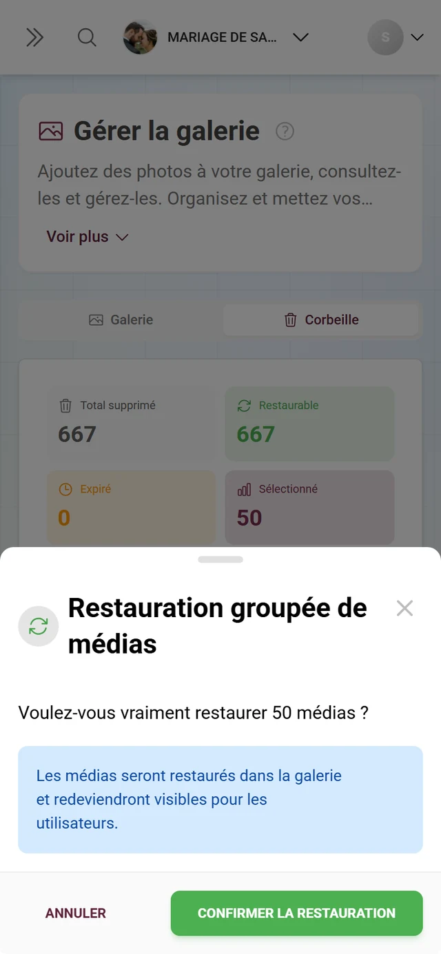 Boîte de dialogue Restauration groupée de médias avec le nombre d'éléments et un encadré d'information bleu