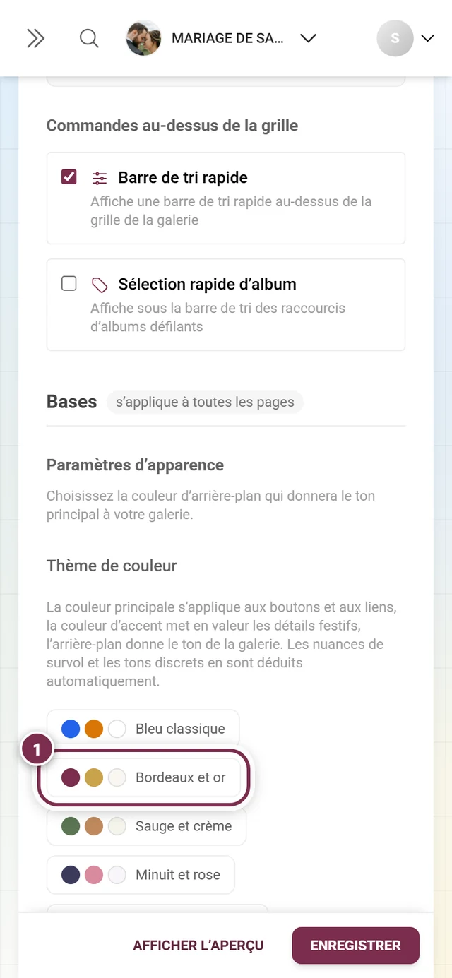 Palettes de couleurs dans le bloc apparence avec Bordeaux et or mis en évidence