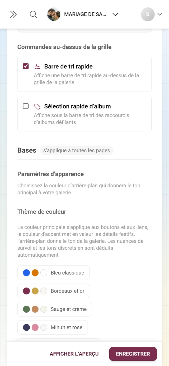Bloc Paramètres d'apparence avec six palettes de couleurs plus couleur principale et couleur d'accentuation