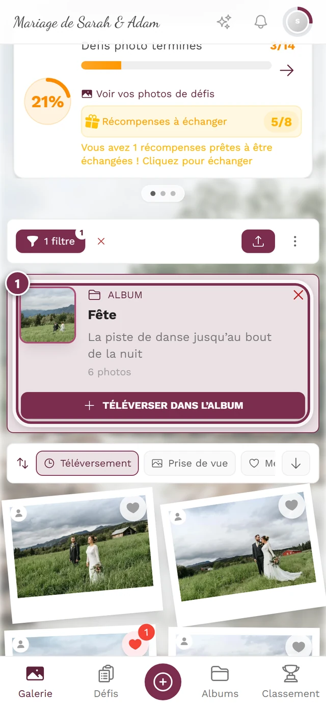Grille de la galerie avec l'encadré Filtres actifs et une puce d'album au-dessus