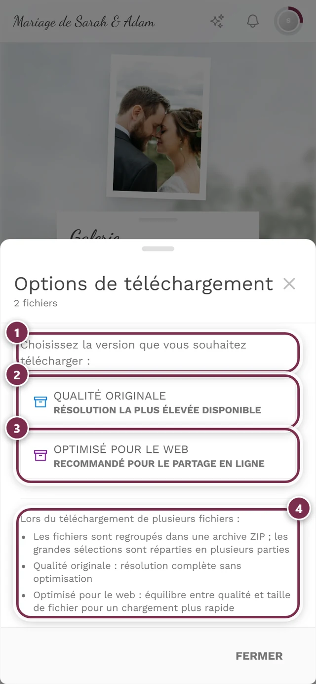 Boîte de dialogue Options de téléchargement avec deux photos marquées, mention ZIP sous les deux boutons