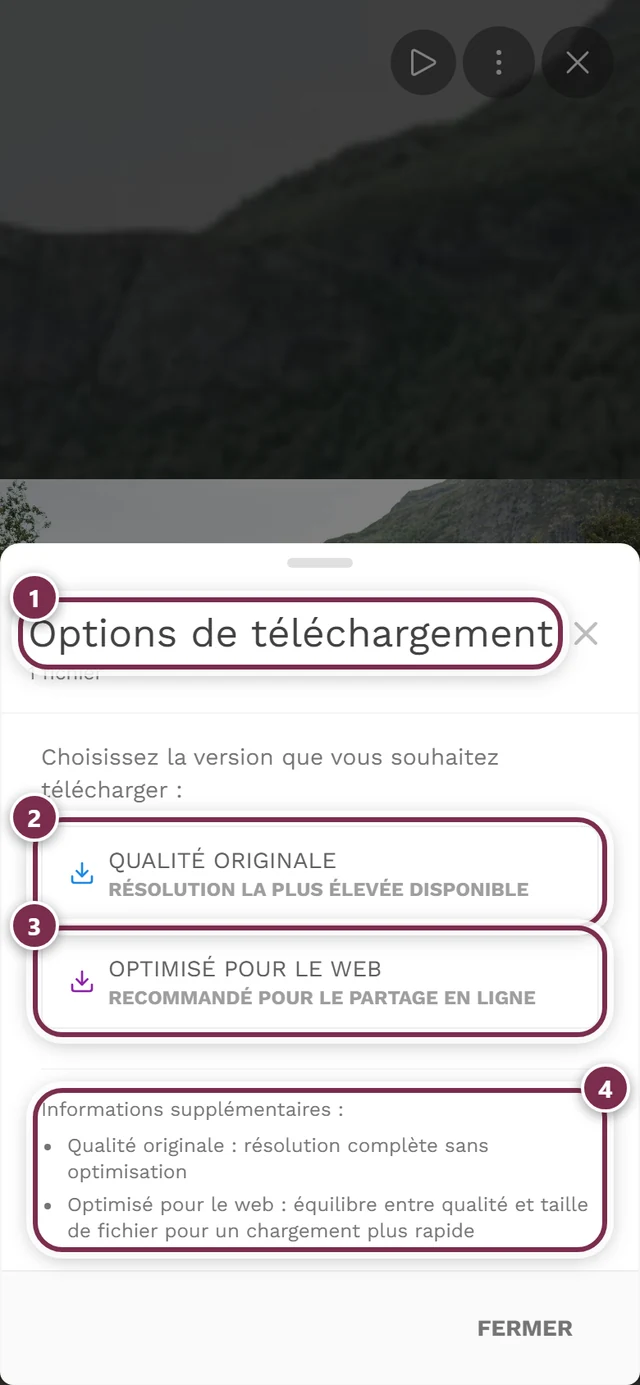 Boîte de dialogue Options de téléchargement avec les deux boutons Qualité originale et Optimisé pour le web