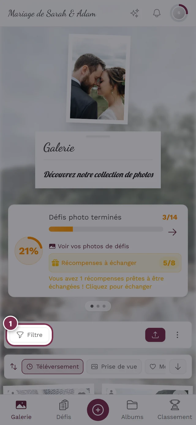 Barre de la galerie avec le bouton Filtre mis en évidence